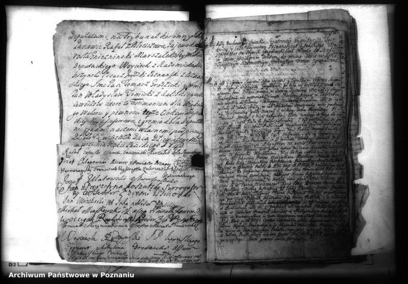 Obraz 4 z jednostki "Lauda [acticantia]"