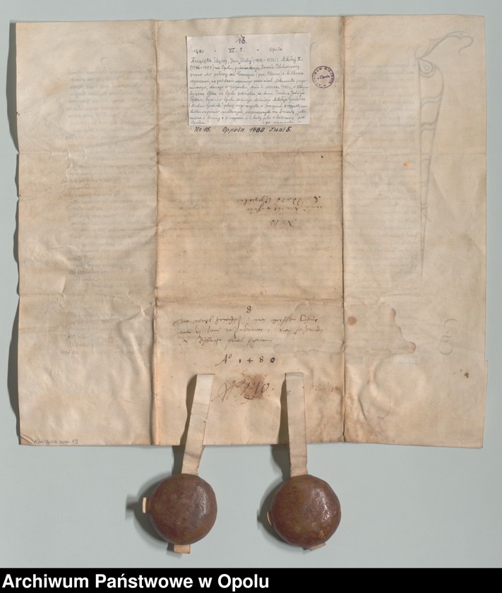 Obraz 4 z jednostki "Jan i Mikołaj, książęta śląscy, na Opolu, Głogówku etc. poświadczają, że stawiła się przed nimi Dorota Pillchwiczynn. Potwierdzają oni jej"