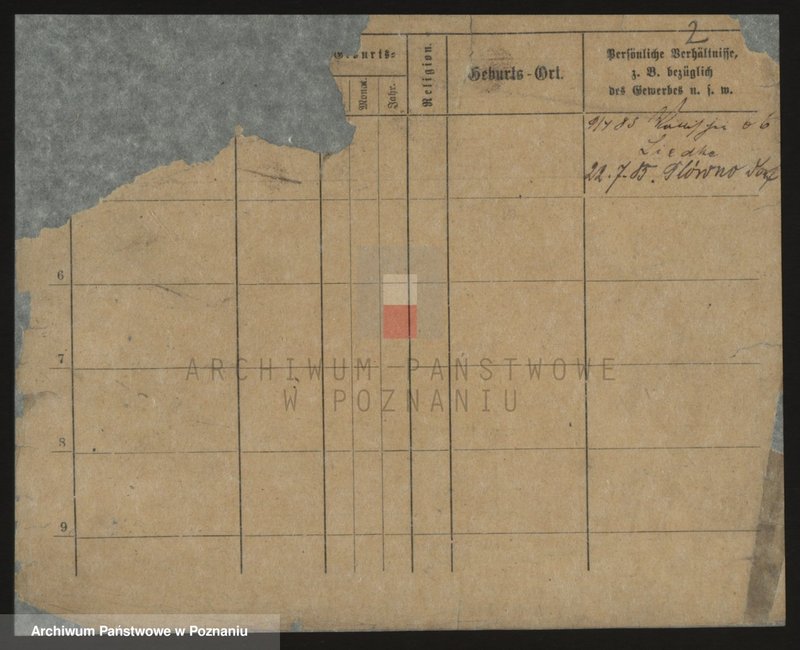 Obraz 2 z jednostki "Kaczmarek do Małgorzata (samotne kobiety)"