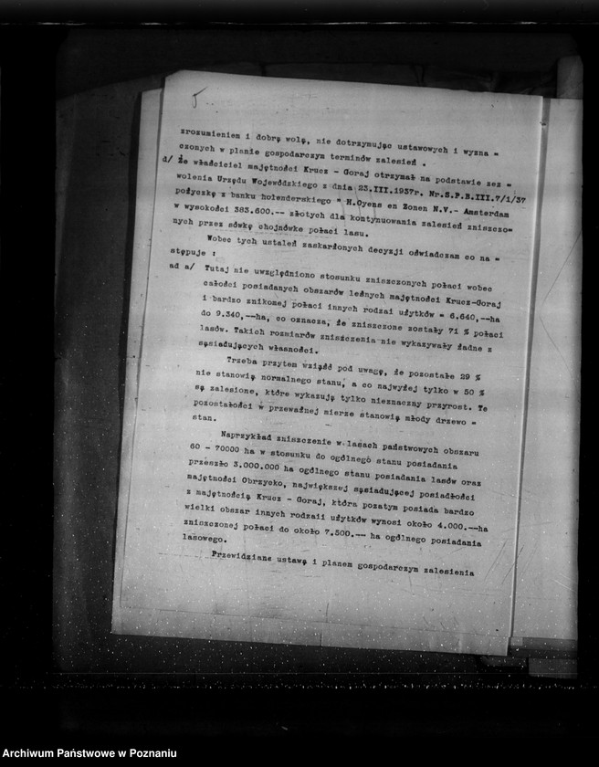 Obraz 11 z jednostki "Sprawa zalesienia majątku Krucz-Goraj"