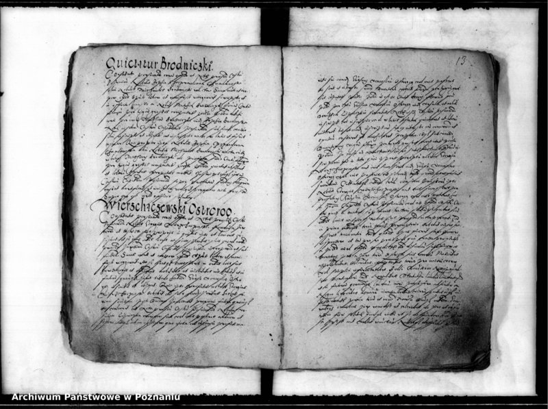 Obraz 17 z jednostki "Inscriptiones, relationes [inducta]"