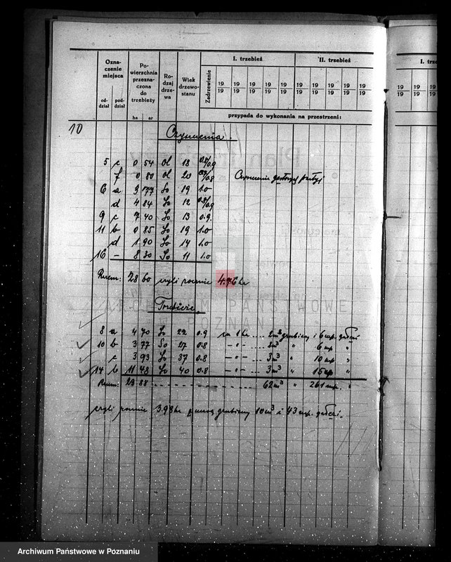Obraz 14 z jednostki "Program urządzenia gospodarstwa leśnego dla lasu majętności Kobylepole powiat poznański 1933/34-1938/39"