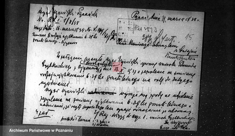 Obraz 19 z jednostki "/Zalesienie gruntów ornych/"