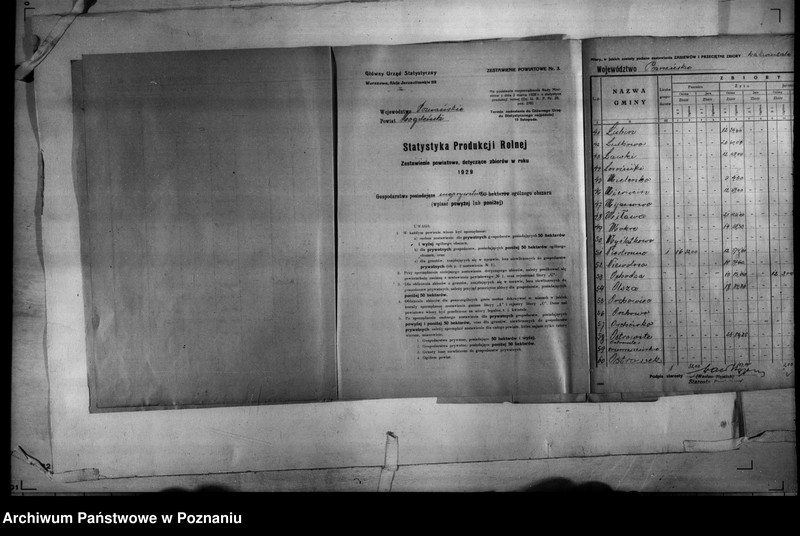 Obraz 10 z jednostki "/Statystyka produkcji rolnej - zestawienie powiatowe - Mogilno/"