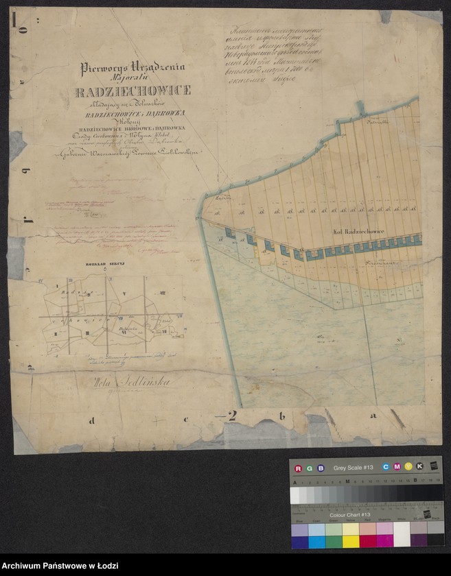 Obraz 1 z jednostki "Pieroworys Urządzenia Majoratu Radziechowice składający się z folwarków Radziechowice i Dąbrówka, Kolonii Radziechowice Brodowe i Dąbrowka, osady Czerkowizna, młyna Klekot oraz lasów przyległych ..."