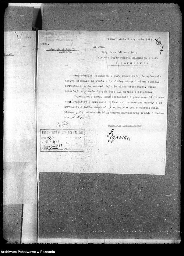 Obraz 11 z jednostki "Słoma i siano"