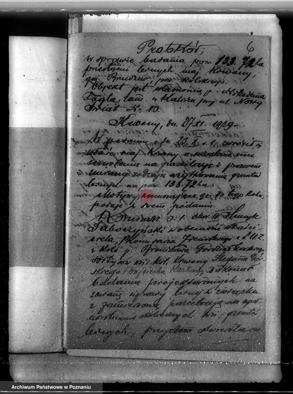 Obraz 10 z jednostki "Majątek Krwony powiat kolski /nadzór nad gospodarką leśną/"