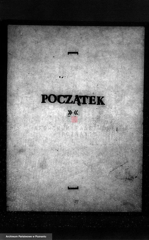 Obraz 3 z jednostki "Majętność leśna Potulice powiat wągrowiecki"