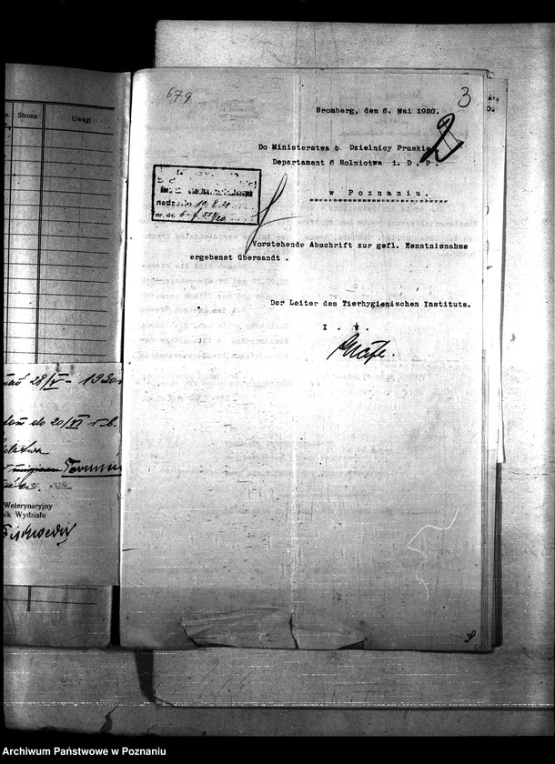 Obraz 7 z jednostki "Nosacizna - Tuchola"