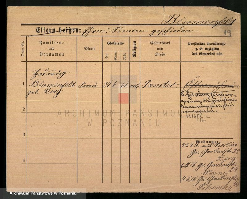 Obraz 20 z jednostki "Blumenau - Boch"