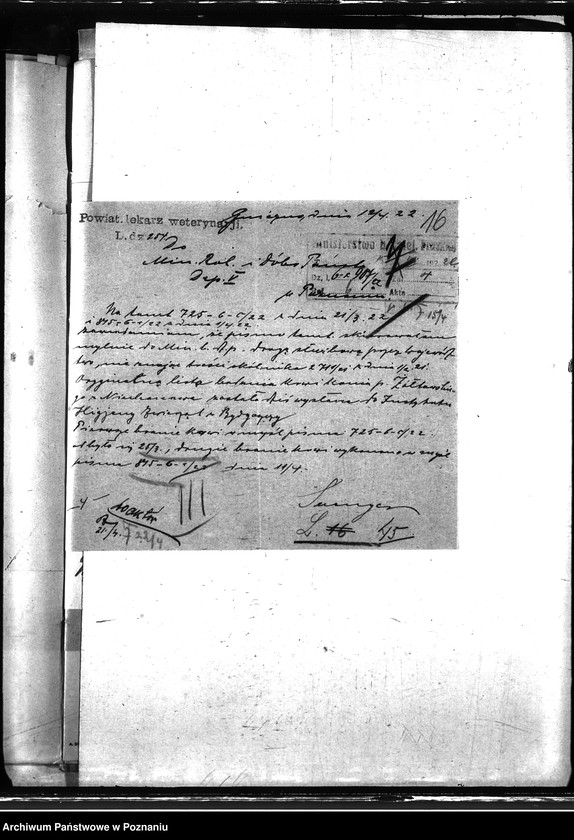 Obraz 19 z jednostki "Nosacizna - Witkowo"