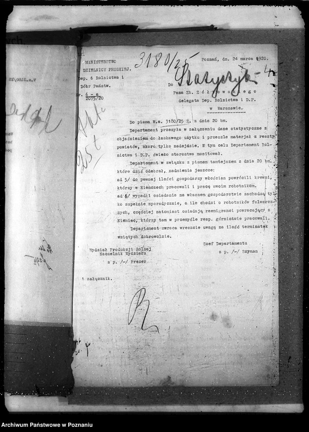 Obraz 8 z jednostki "Statystyka"