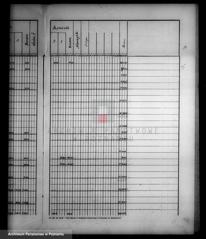 Obraz 9 z jednostki "Tymczasowy rejestr pomiarowy majątku Stare powiatu wyrzyskiego"