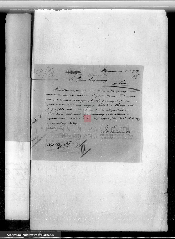 Obraz 18 z jednostki "Las miasta Tuliszkowo powiat koniński"