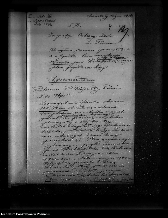 Obraz 8 z jednostki "Majętność leśna Wioska powiat wolsztyński"