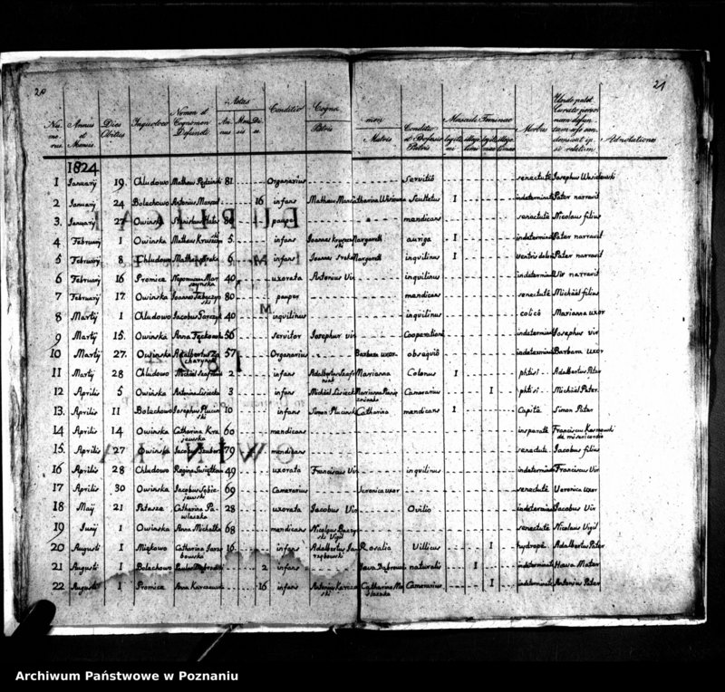 Obraz 14 z jednostki "Duplikat natorum, copulatorum, mortuorum"