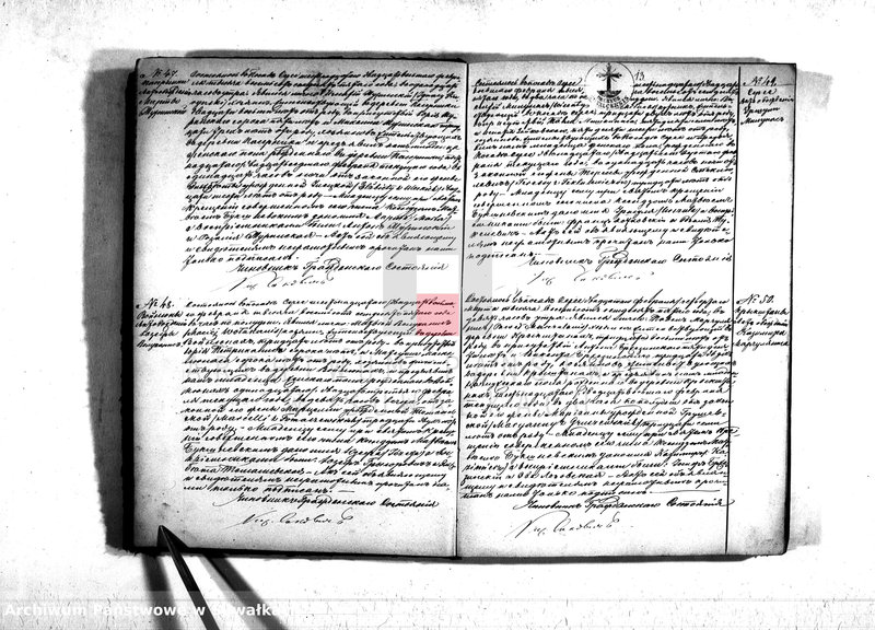 Obraz 15 z jednostki "Duplikat serejskago prichoda na 1875 god"