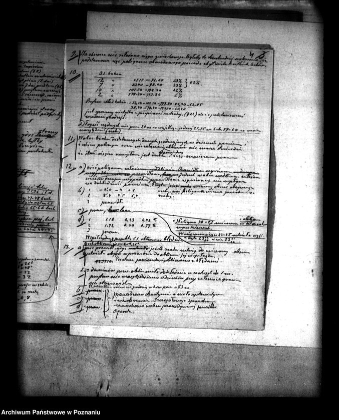 Obraz 9 z jednostki "Podział wspólnego pastwiska wsi Oleśnica powiatu konińskiego"