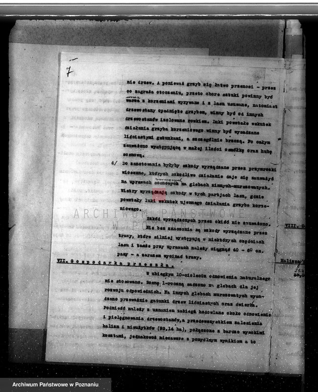 Obraz 11 z jednostki "/Nadzór nad gospodarką w lasach majątku/ Jarogniewice powiat kościański 1936-1946"