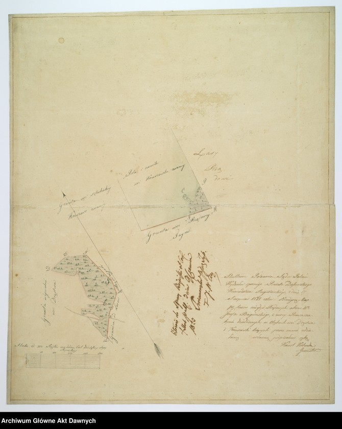 image.from.unit.number "Plan folwarku i lasów dóbr Pace w powiecie szczuczyńskim"