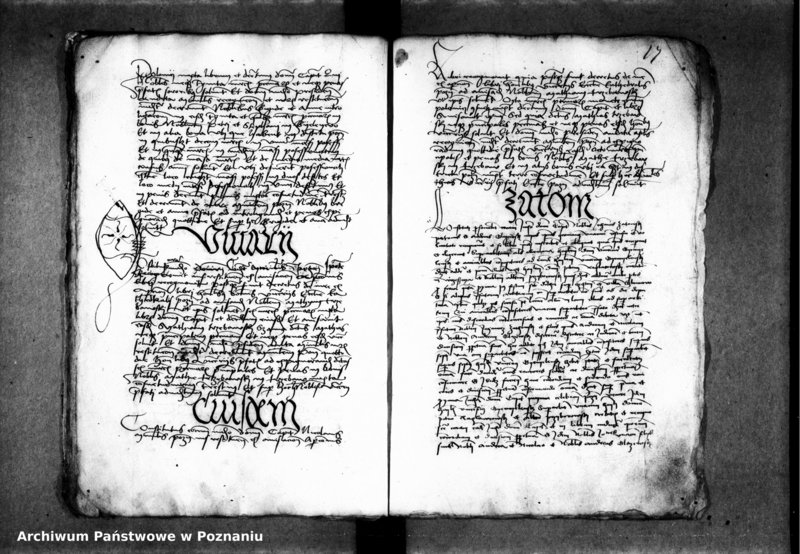 Obraz 20 z jednostki "Inscriptiones, relationes, decreta [inducta]"