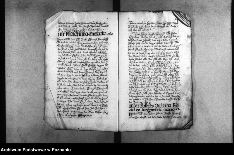 Obraz 7 z jednostki "Decreta [inducta]"