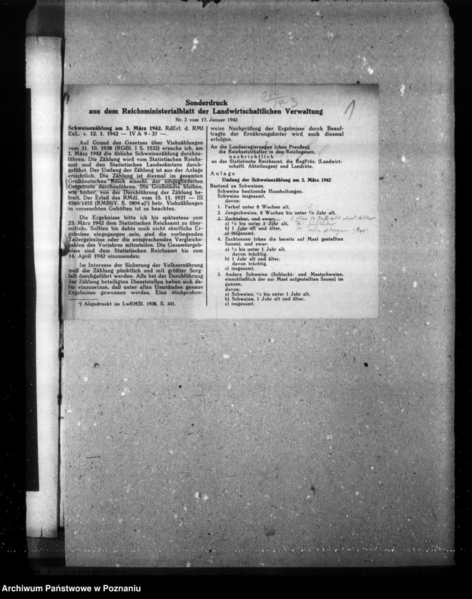 Obraz 5 z jednostki "Viehzählung (korespondencja, formularze)"