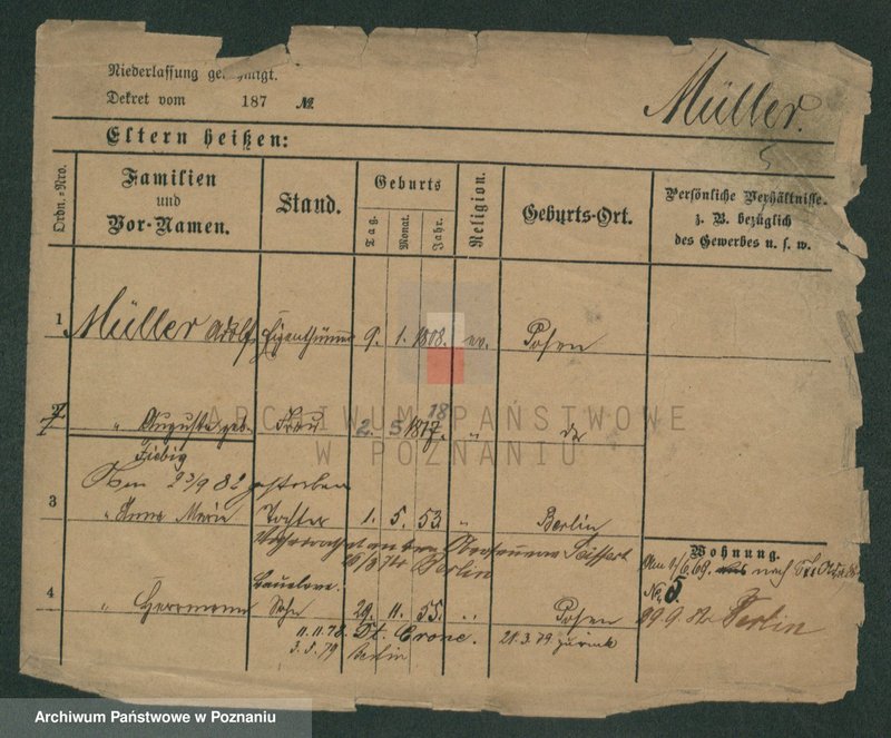 Obraz 7 z jednostki "Müller (żonaci i wdowy)"