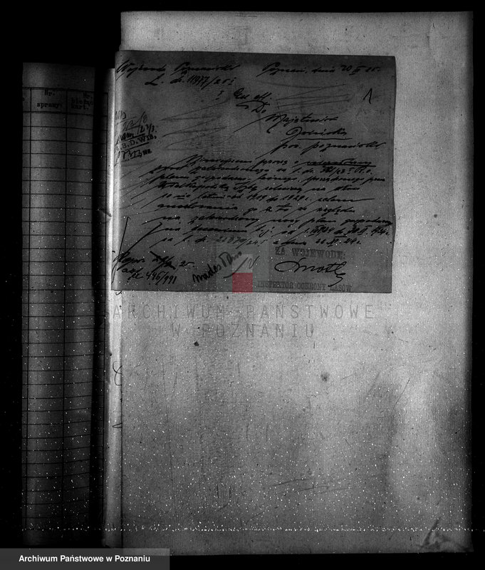 Obraz 5 z jednostki "Nadzór nad gospodarką w lasach majętności Owińska powiat poznański"