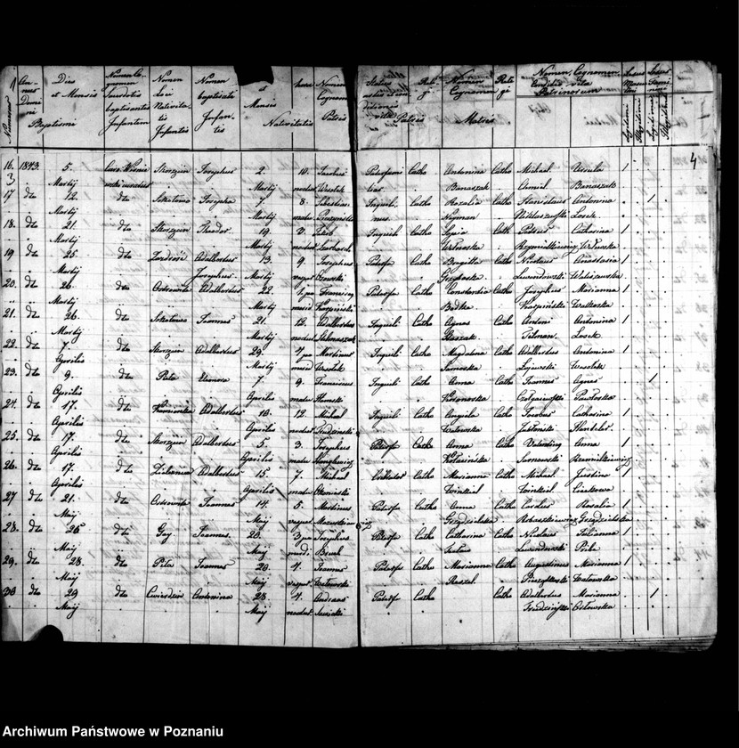 image.from.unit.number "Duplicatus baptisatorum, copulatorum, mortuorum"