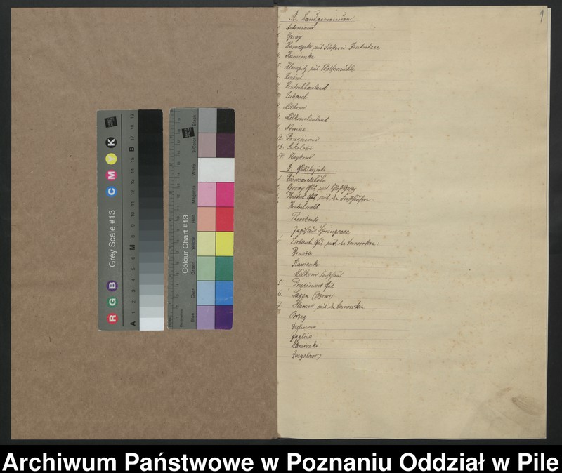 Obraz 3 z jednostki "Księga zgonów"