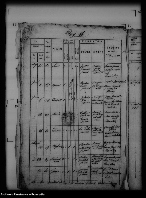 Obraz 18 z jednostki "[Kopie ksiąg metrykalnych parafii Puławy (dekanat Buków)]"