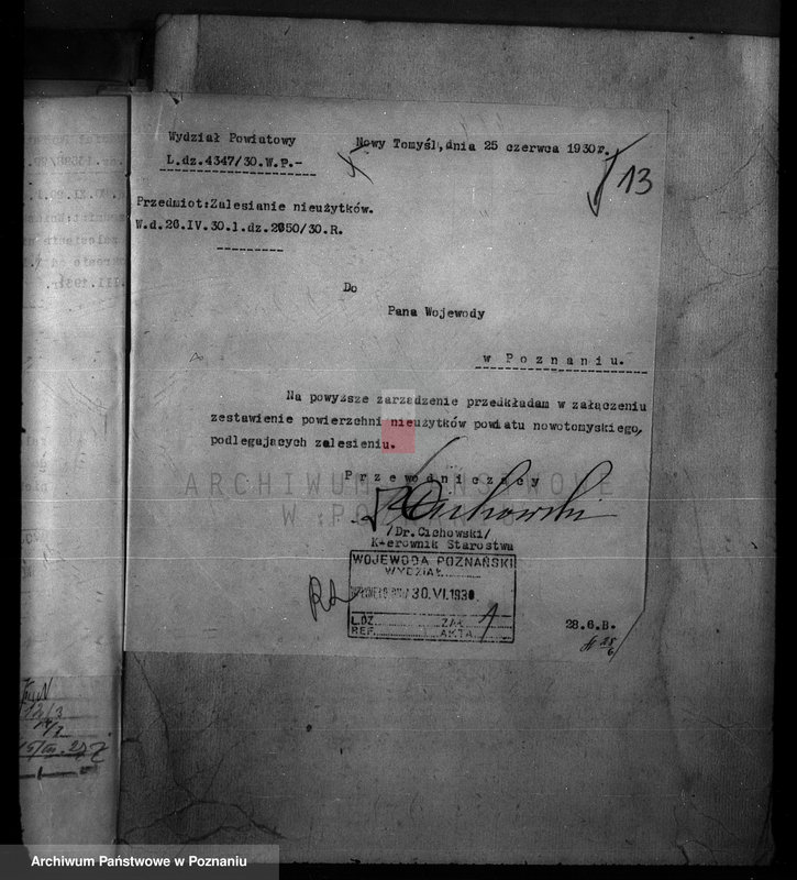 Obraz 18 z jednostki "Zalesienie nieużytków w powiecie nowotomyskim"