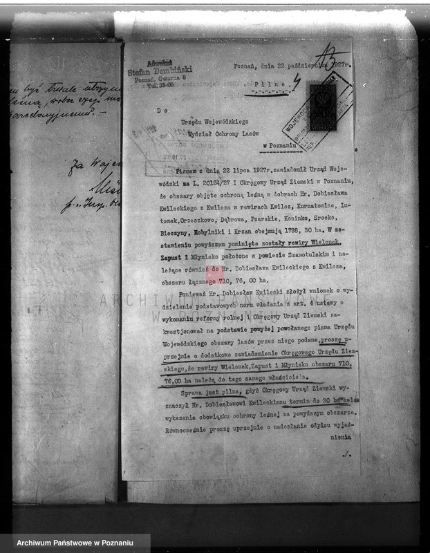 Obraz 8 z jednostki "Majętność leśna w Kwilczu w powiecie międzychodzkim"