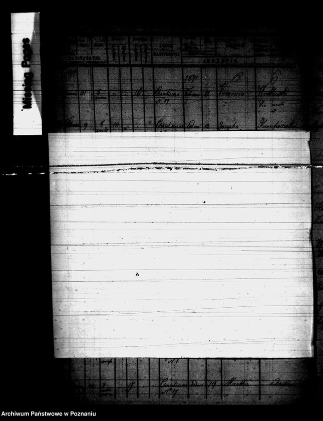 Obraz 6 z jednostki "Księga urodzeń"