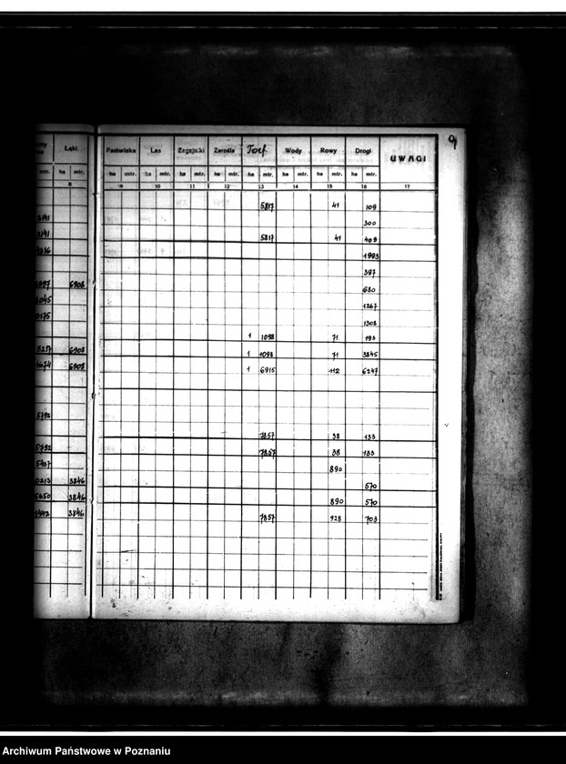 Obraz 13 z jednostki "Rejestr pomiarowy gminy Goszczanów powiat turecki"