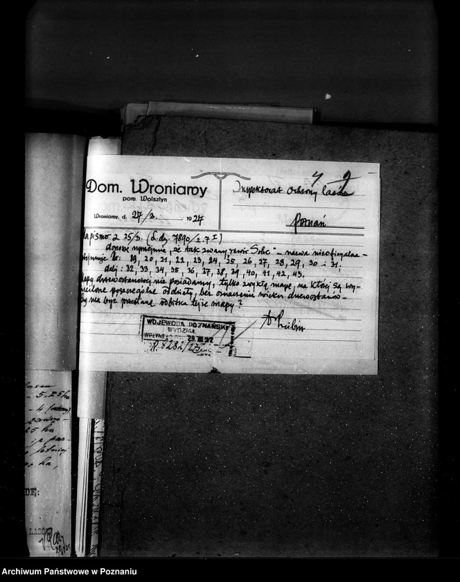 Obraz 8 z jednostki "Majętność leśna Wroniawy powiat wolsztyński"