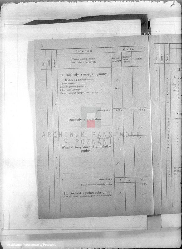 Obraz 11 z jednostki "Budżet i sprawy rachunkowo-kasowe Skalmierzyc Nowych"
