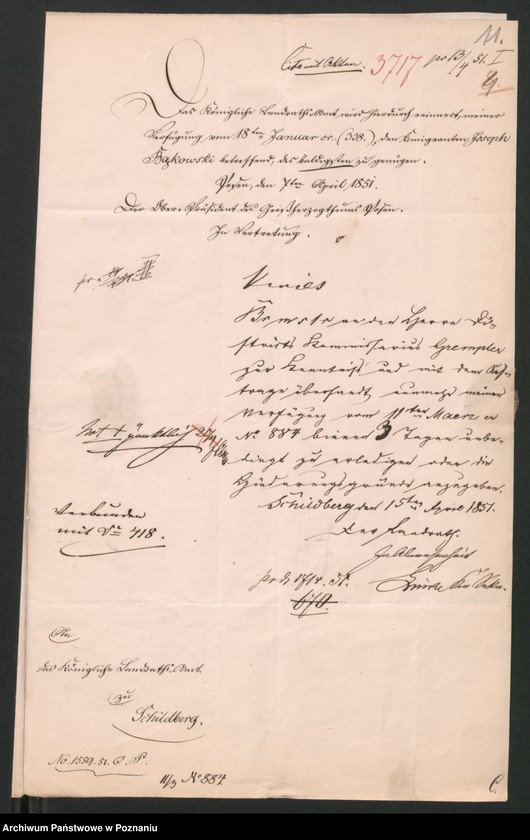 Obraz 17 z jednostki "A. betr. den polnischen Flüchtling Josef von Bąkowski"