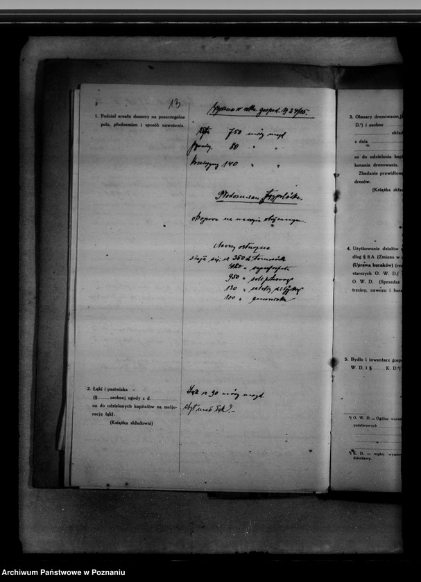 Obraz 17 z jednostki "Rewizje domeny Łęka"