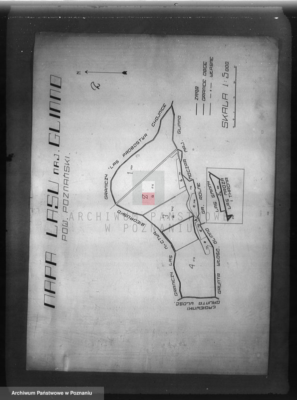 Obraz 6 z jednostki "Program urządzenia gospodarstwa leśnego dla lasu majętności Glinno powiat poznański 1938-1948"