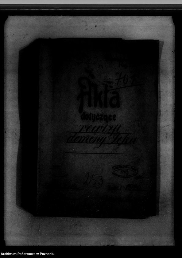 Obraz 4 z jednostki "Rewizje domeny Łęka"