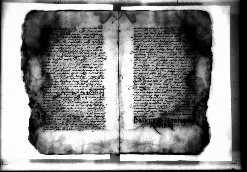 Obraz 14 z jednostki "Decreta officii [inducta]"