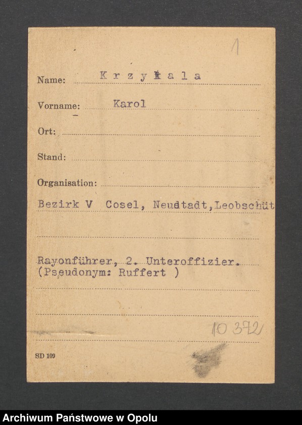 Obraz 3 z jednostki "[Krzykala Karol]"