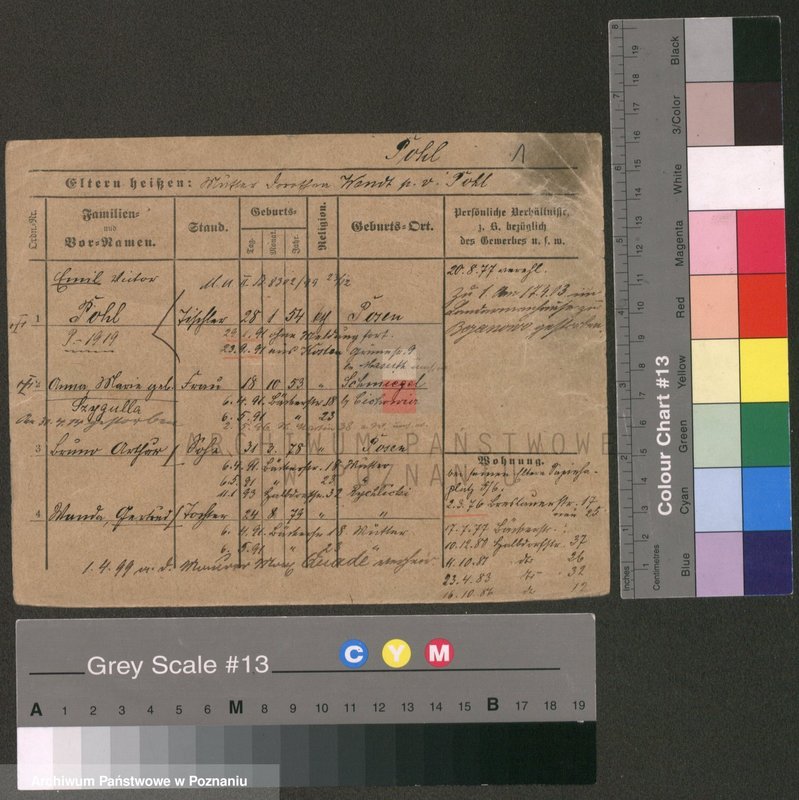 Obraz 1 z jednostki "Pokramowicz - Pol (żonaci - samotni mężczyźni)"