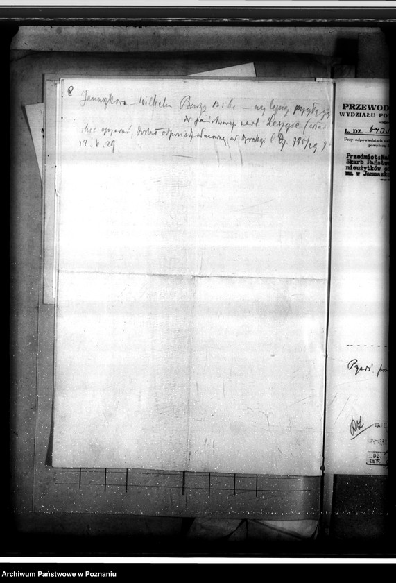 Obraz 12 z jednostki "Zalesienie nieużytków w powiecie inowrocławskim"