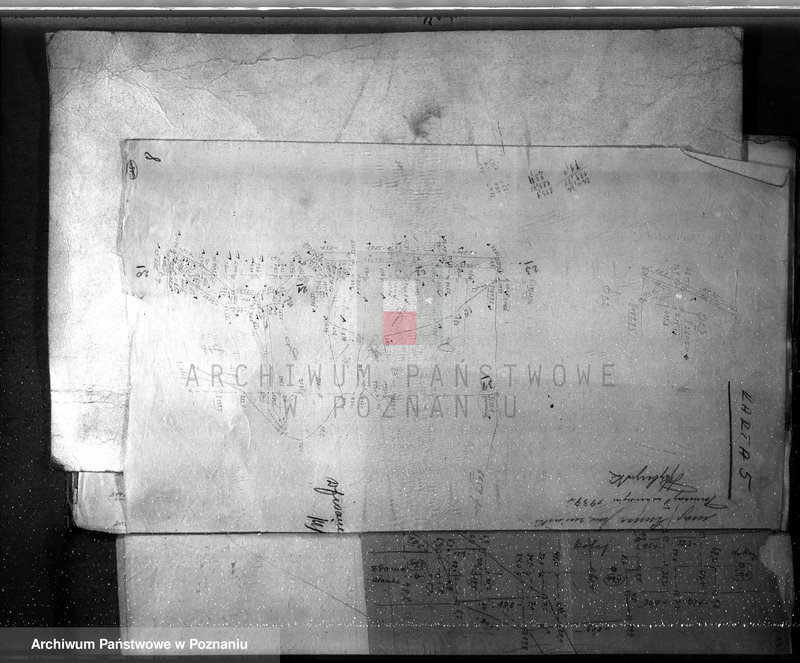 Obraz 12 z jednostki "Mapy majątku Rusiec w powiecie żnińskim"