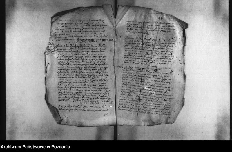 Obraz 6 z jednostki "Decreta [inducta]"