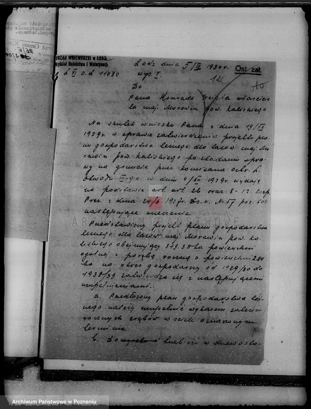 Obraz 16 z jednostki "Wyłączenie obszarów leśnych majątku Morawin powiat kaliski"