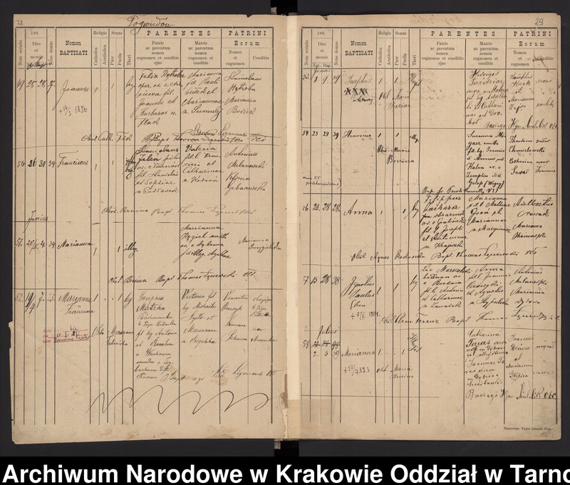 image.from.team "Akta stanu cywilnego Katedralnej Parafii Rzymskokatolickiej w Tarnowie"